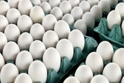 150 تن تخم مرغ مازاد بر نیاز روزانه در خراسان رضوی تولید می شود