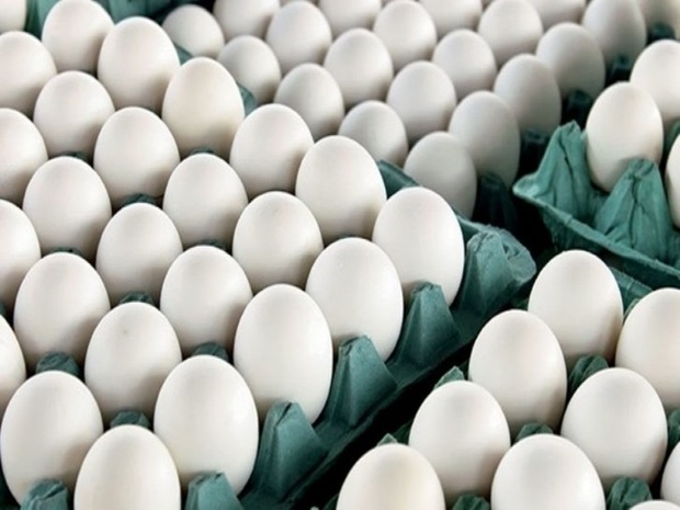 150 تن تخم مرغ مازاد بر نیاز روزانه در خراسان رضوی تولید می شود