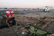 آخرین خبرها از سقوط هواپیمای اوکراینی در حوالی پرند+ تصاویر و فیلم