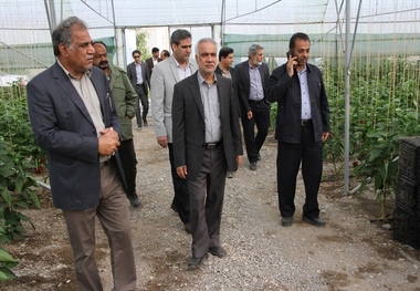 8طرح کشاورزی در هرمزگان به بهره برداری رسید