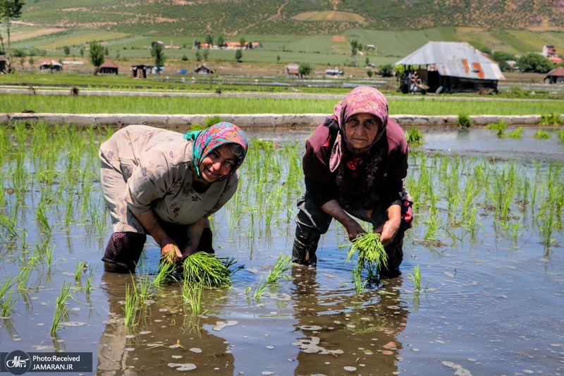 منتخب تصاویر امروز جهان- 20 اردیبهشت 1400