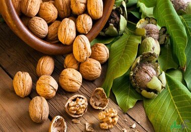 تاثیر مصرف گردو برای سلامت باکتری های روده و قلب 