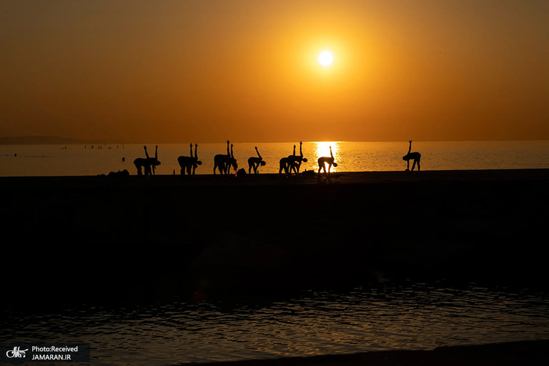 منتخب تصاویر امروز جهان- 3 مرداد 1400