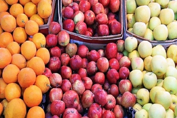 ذخیره سازی ٢٦٠٠ تن سیب و پرتقال عید آذربایجان غربی