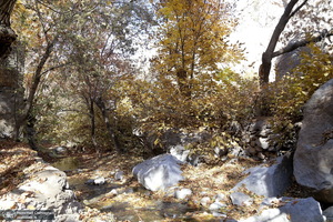 طبیعت پاییزی روستای اَوِل قم