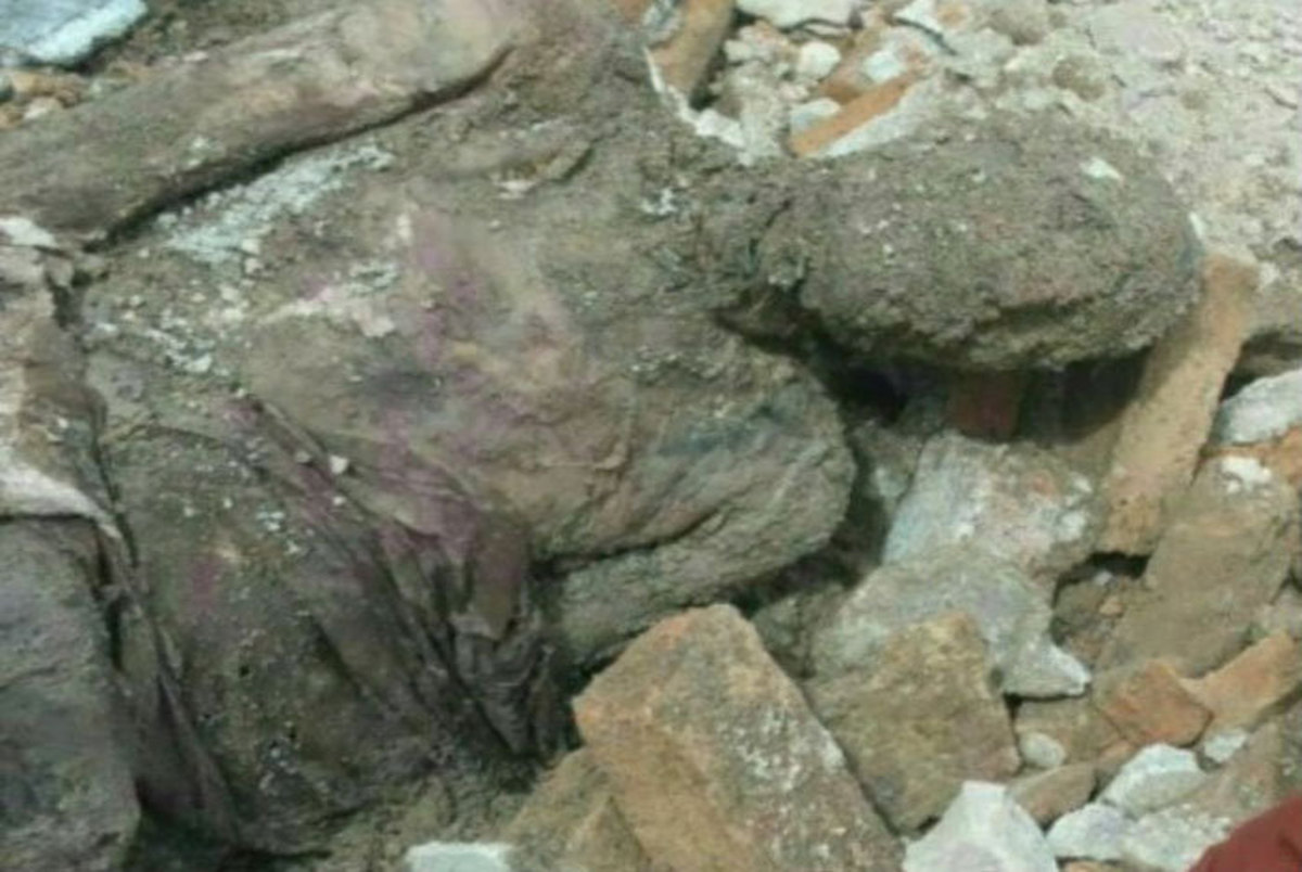 آخرین جزییات از جسد مومیایی کشف شده در شهر ری