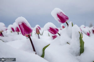 منتخب تصاویر امروز جهان - 22 و 23 فروردین 1404