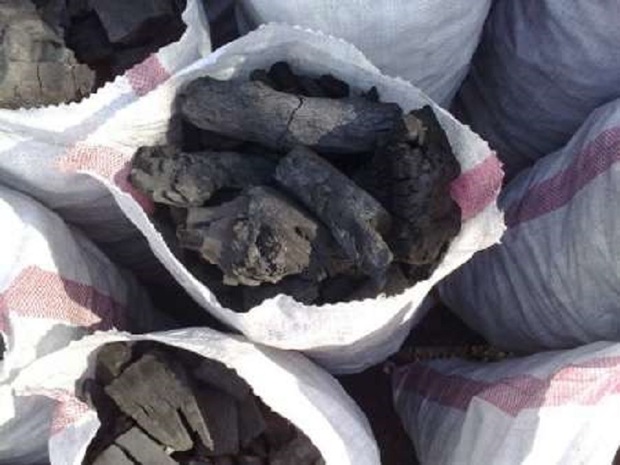 500کیلوگرم زغال بلوط در پلدختر کشف شد