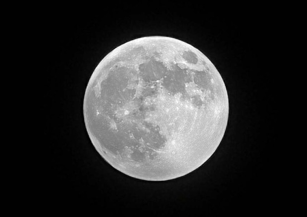 بزرگترین ماه کامل سال در آسمان درخشید
