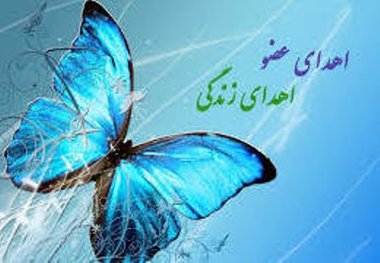 اعضای بانوی فسایی به بیماران نیازمند پیوند عضو اهدا شد