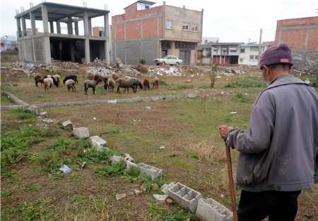 مدرنیزه شدن مناطق روستایی موجب کاهش فعالیت دامداریهای سنتی  شده است