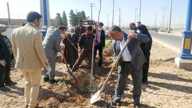 بوستان پرستاران میبد به مساحت ۲۵ هکتار ساخته می شود