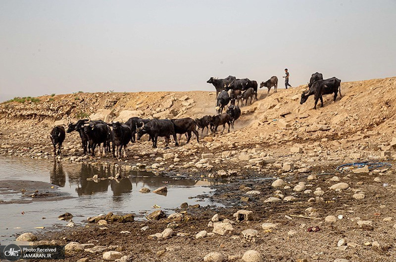 منتخب تصاویر امروز جهان- 29 اردیبهشت 1400