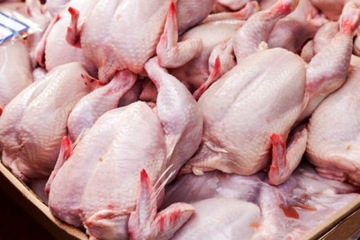 عدم رعایت قیمت مصوب مرغ در اردبیل