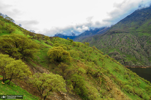 روستای هجیج؛ ماسوله سنگی کرمانشاه‎‎