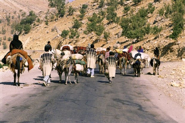 کوچ بهاره عشایر قم به مناطق ییلاقی آغاز شد