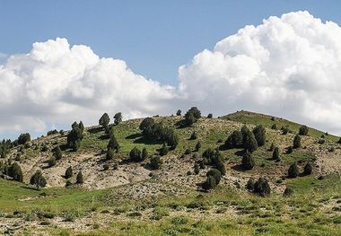 ۲۰ تشکل حفاظت از منابع طبیعی سمنان در حال ثبت است