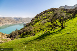 طبیعت بکر و زیبای«کفشکنان»