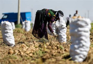 طرح های اشتغالزا در مناطق روستایی اصفهان به اجرا درآمد