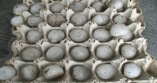 بارش تگرگ به بزرگی تخم مرغ در مشگین شهر+عکس