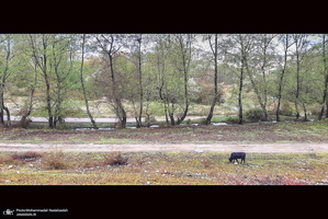 دریاچه آویدر نوشهر