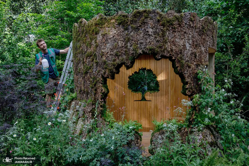 منتخب تصاویر امروز جهان - 2 خرداد 1401