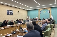 نشست فراکسیون امید مجلس دهم با معاون رئیس‌جمهور (12)