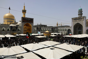 ظهر شهادت امام رضا (ع)