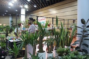 نمایشگاه گل و گیاه (92)