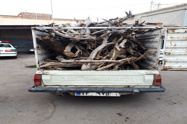 ۶۰۰ کیلوگرم چوب قاچاق در آران‌وبیدگل کشف شد