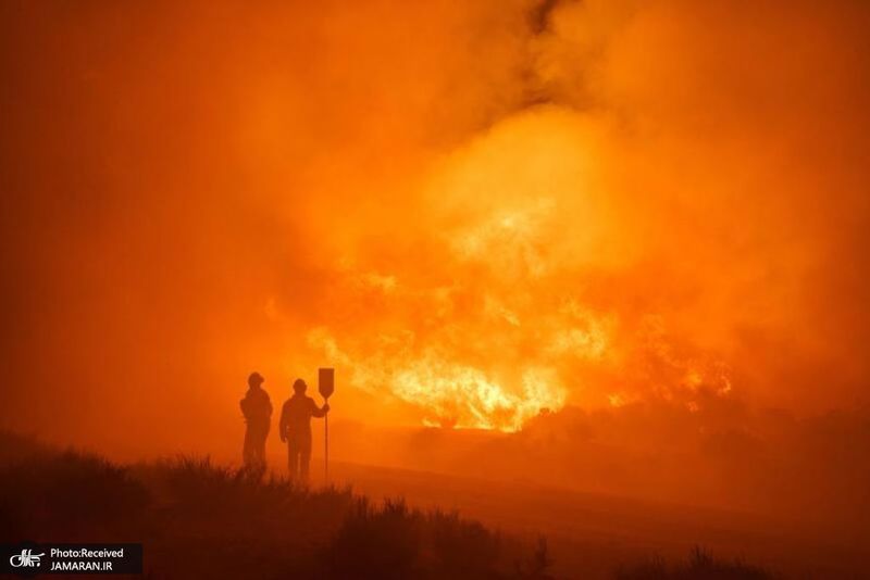 منتخب تصاویر امروز جهان- 26 مرداد 1400