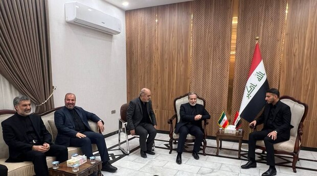 عراقچی وارد نجف اشرف شد + عکس