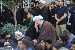 دسته عزاداری شهادت امام عسکری (ع) با حضور آیت‌الله العظمی وحید خراسانی