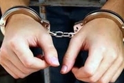 سارقان کابل های دکل مخابراتی در دزفول دستگیر شدند