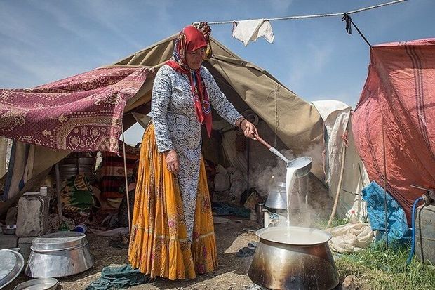 ۲۳ هزار کشاورز و عشایر یزد از خدمات صندوق بیمه بهره‌مند هستند