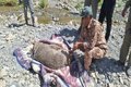 نجات خرس قهوه‌ای از فنس باغ انگور در منطقه حفاظت شده دنا + عکس