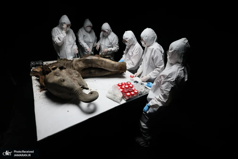 منتخب تصاویر امروز جهان - 8 و 9 فروردین 1404