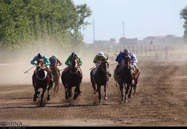 هفته دوم کورس تابستانه سوارکاری بندرترکمن برگزار شد