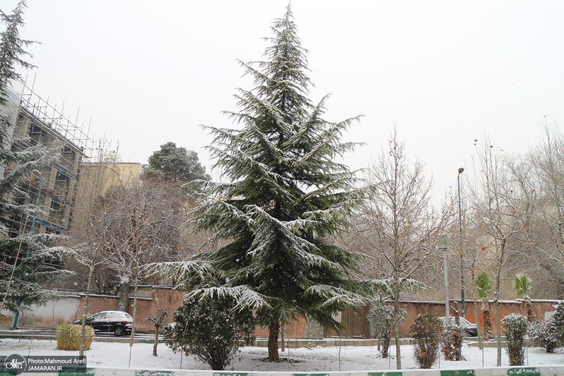 برف امروز تهران - 25 دیماه 1401
