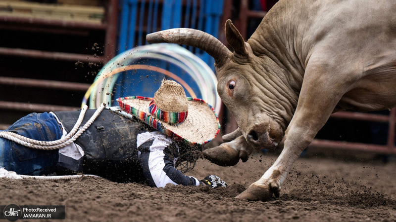 منتخب تصاویر امروز جهان - 5 اردیبهشت 1402