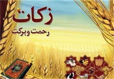 مردم ورامین بیش از 23 میلیارد ریال زکات پرداخت کردند