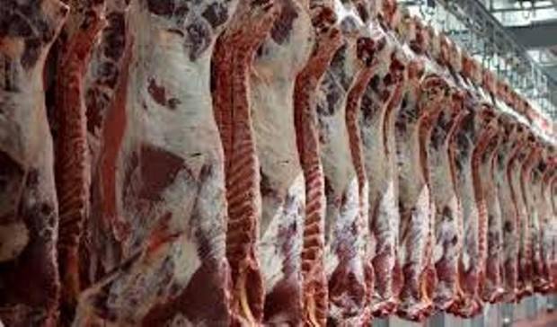 عشایر 45 درصد از گوشت قرمز چهارمحال وبختیاری را تولید می کنند