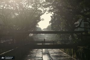 منتخب تصاویر امروز جهان- 12 فروردین 1400