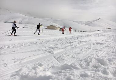 قهرمان مسابقات اسکی آلپاین بانوان کشور مشخص شد
