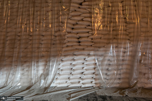 شوق شیرین تولید شکر / کارگران تولید قند و شکر