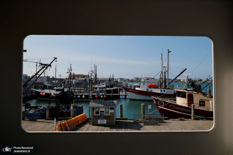 منتخب تصاویر امروز جهان - 4 فروردین 1404