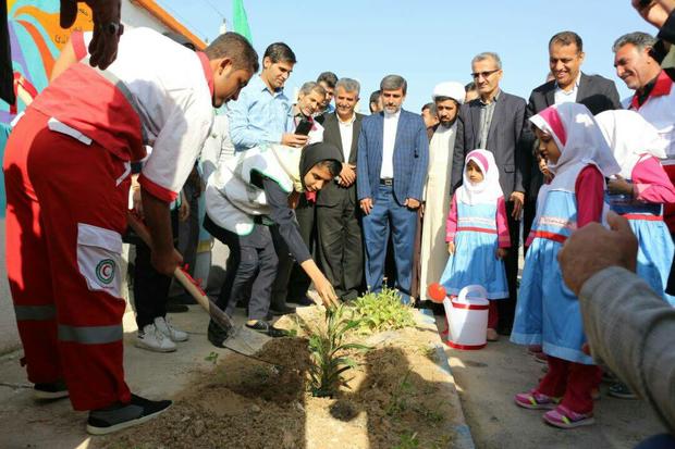 9 هزار اصله نهال در دشتی توزیع شد