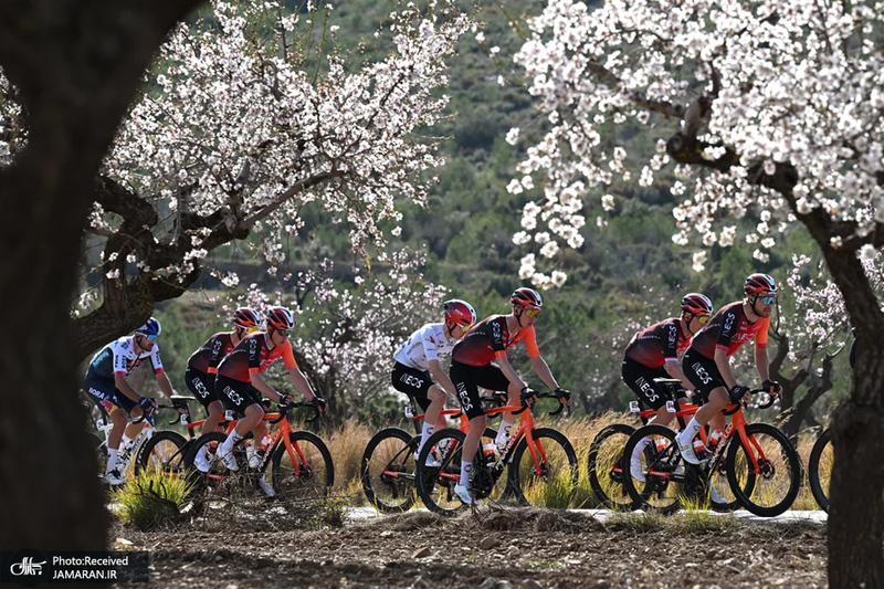 منتخب تصاویر امروز جهان - 19 و 20 بهمن 1403