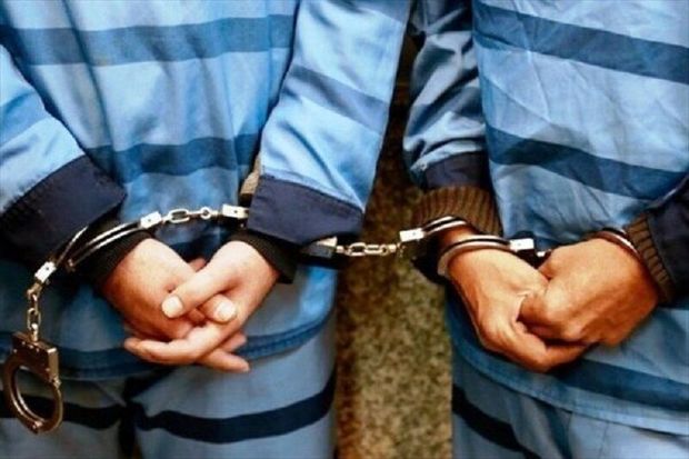 ۲ سارق حرفه‌ای و سابقه‌دار در زنجان دستگیر شدند