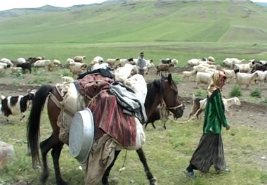 کوچ بهاره عشایر استان اردبیل آغاز شد